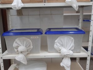 Criação de insetos de importância médica